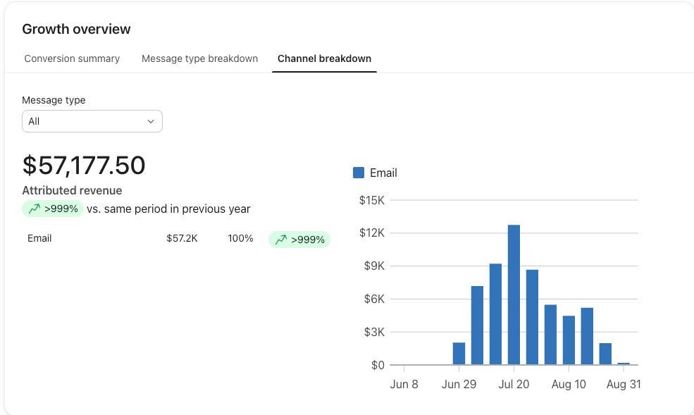 Klaviyo dashboard from a client account